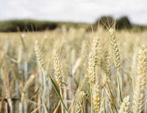 莱加内斯客场告负，西乙征途再添阴霾，保级警钟已然敲响