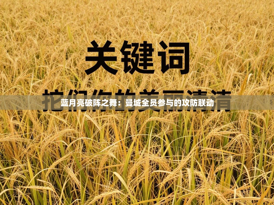 蓝月亮破阵之舞:曼城全员参与的攻防联动 第2张