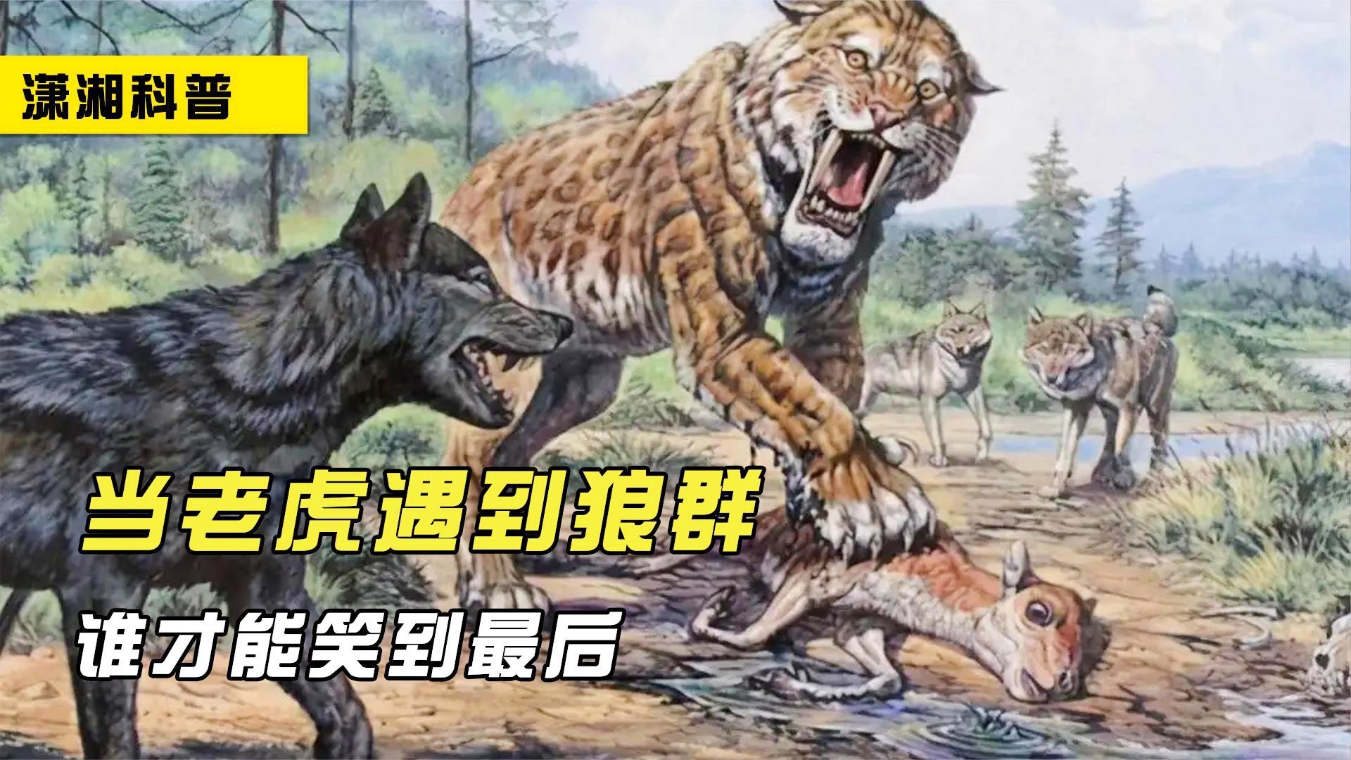 关于AC米兰迎战费伦茨，谁能笑到最后？的信息